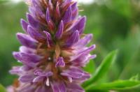 ��������܇(ch��)�W(w��ng)��������̹�